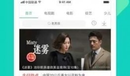 新疆明星爆料视频播放下载,独家下载，揭秘幕后故事